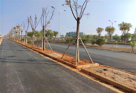 柳州市柳东新区龙岭大道（三期）项目通过竣工验收