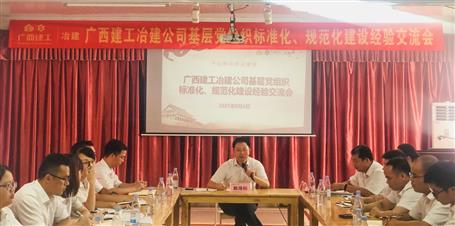 公司党委召开基层党组织标准化、规范化建设经验交流会
