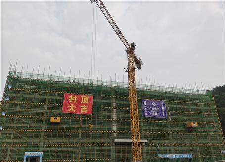 冶建桂海分公司承建项目顺利封顶